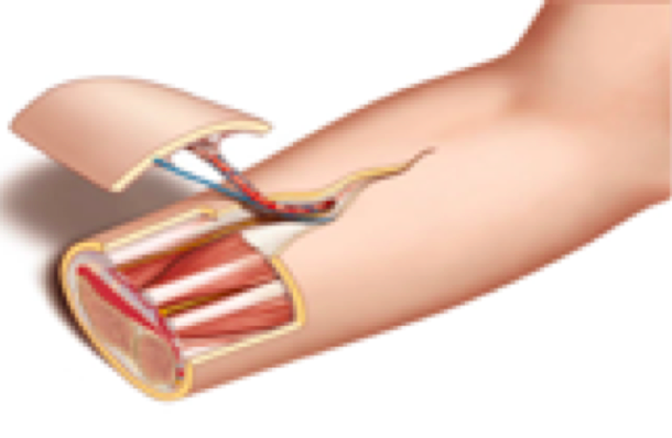 스크린샷 2016-07-05 19.46.55