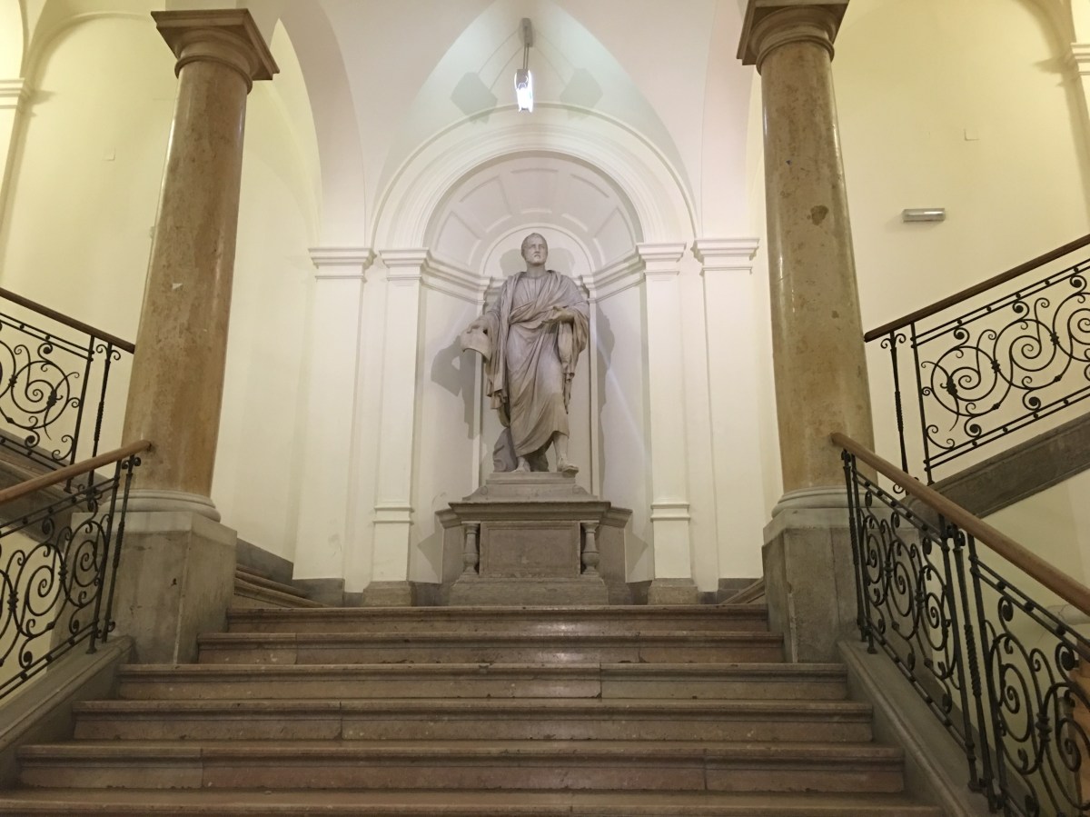 AONeuro-Skull base dissection