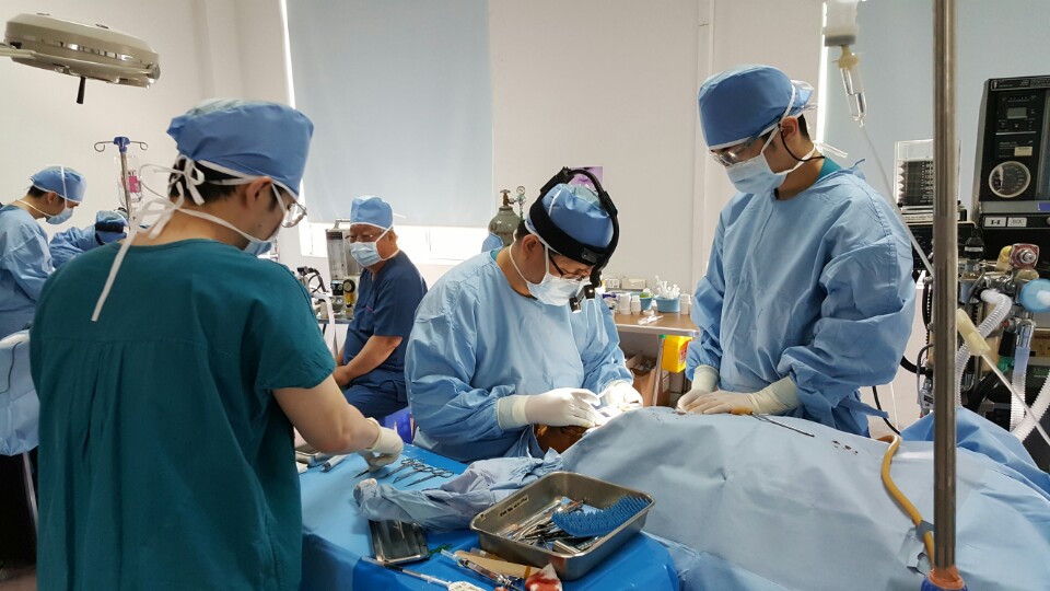 2017년 일웅 캄보디아&nbsp;구순구개열봉사